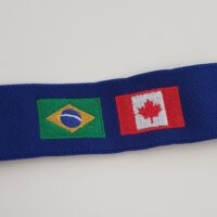 Bordado Bandeira